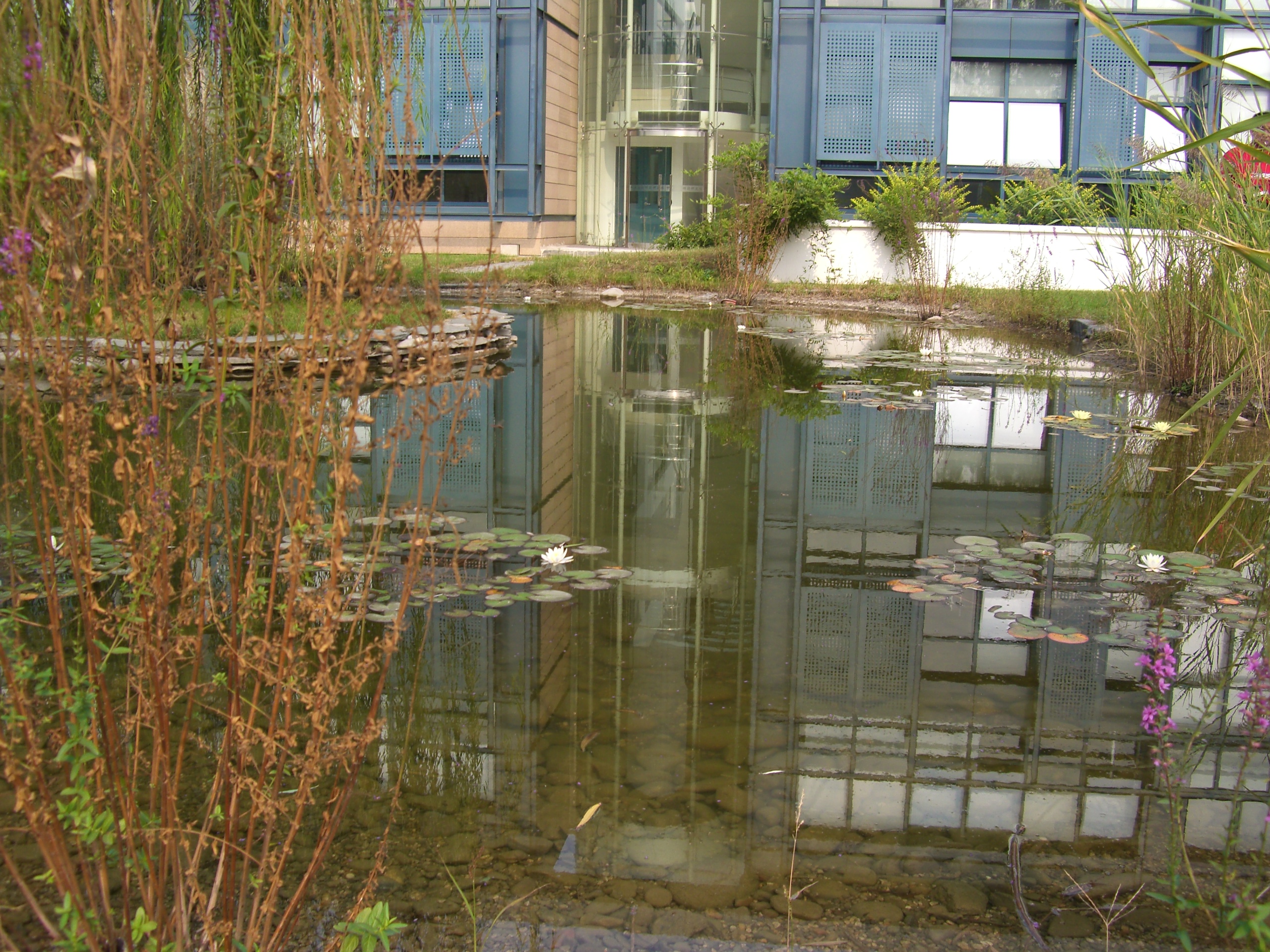 ���P��ܛ���@